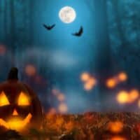 Fun things to do during Halloween in Wisconsin. carved pumpkin lit up at night on a field of orange leaves in a forest with blue sky and bright moon in distance and two black bats flying around the moon