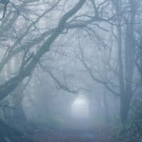 most haunted places in Wisconsin, eerie forest with low light