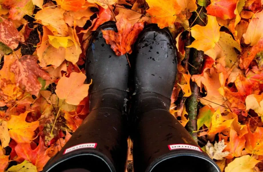 Autumn Rain Boots On Image & Photo (Free Trial)