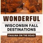 fall in wisconsin pin with leaves