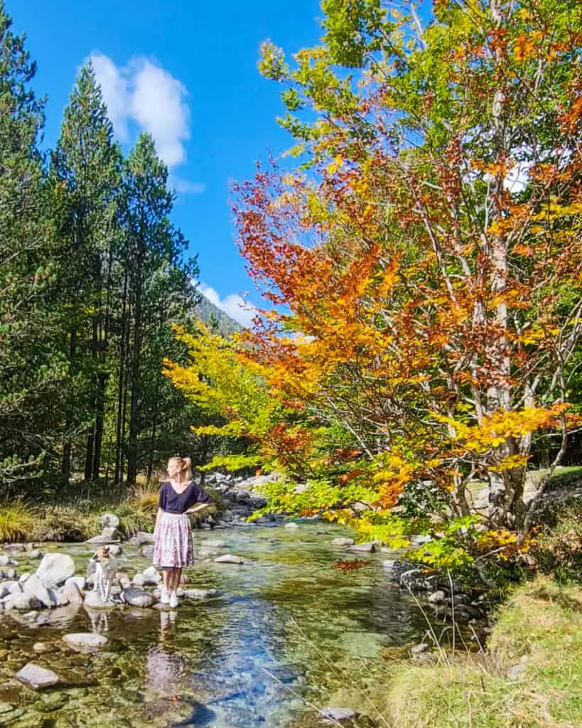 things to do in mainland spain in november, bosc conangles catalan pyrenees during fall