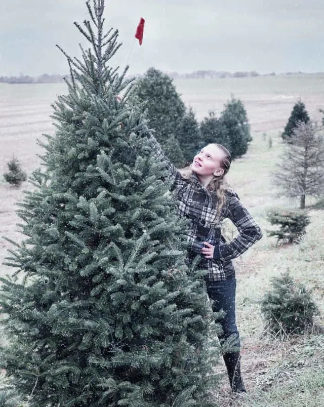 Where to find local Christmas tree farms in Wisconsin, young girl putting a flag onto a Christmas tree