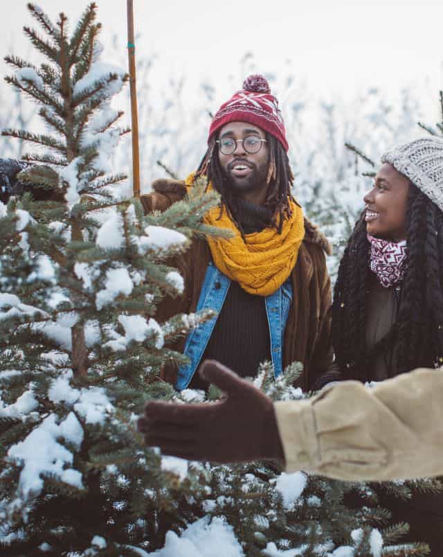 Where to buy Milwaukee Christmas trees, two Black people measuring a Christmas tree with snow on it