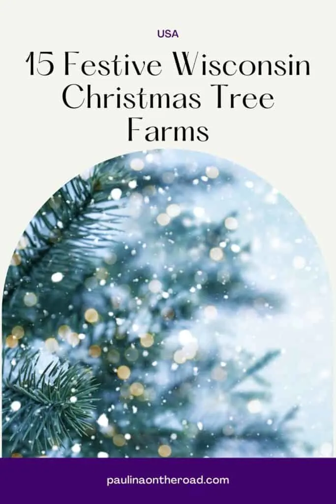 Pin read "USA" in small print and in larger text reads "15 Festive Wisconsin Christmas Tree Farms" with image of blurred pine tree being snowed on