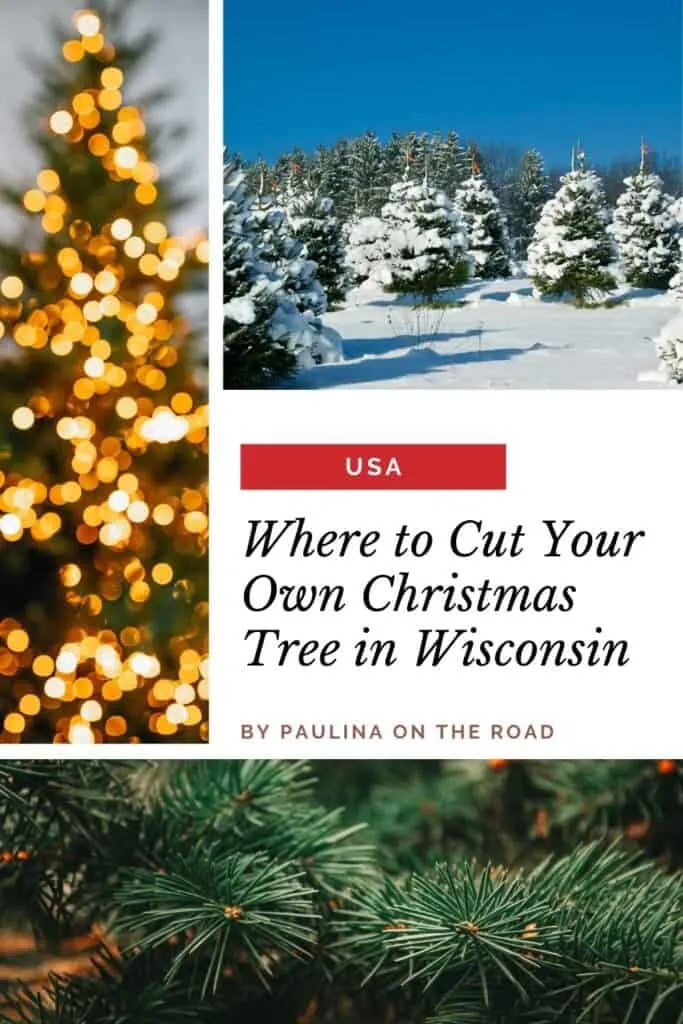 Pin reading "USA" in small text and in larger text reads "Where to Cut Your Own Christmas Tree in Wisconsin" Three images, one of Christmas trees covered in snow, one of a close up of pine needles, third of blurry lit up Christmas tree