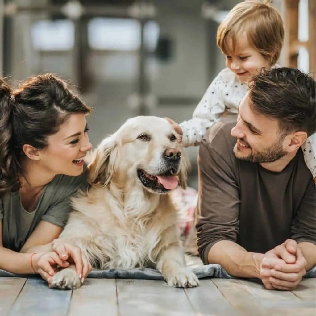 a family together with their golden retreiver