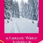 Pin with pink outline and image in center of snowy footpath path between two rows of tall pine trees, words below picture read "15 fantastic witner activities in Madison, WI"