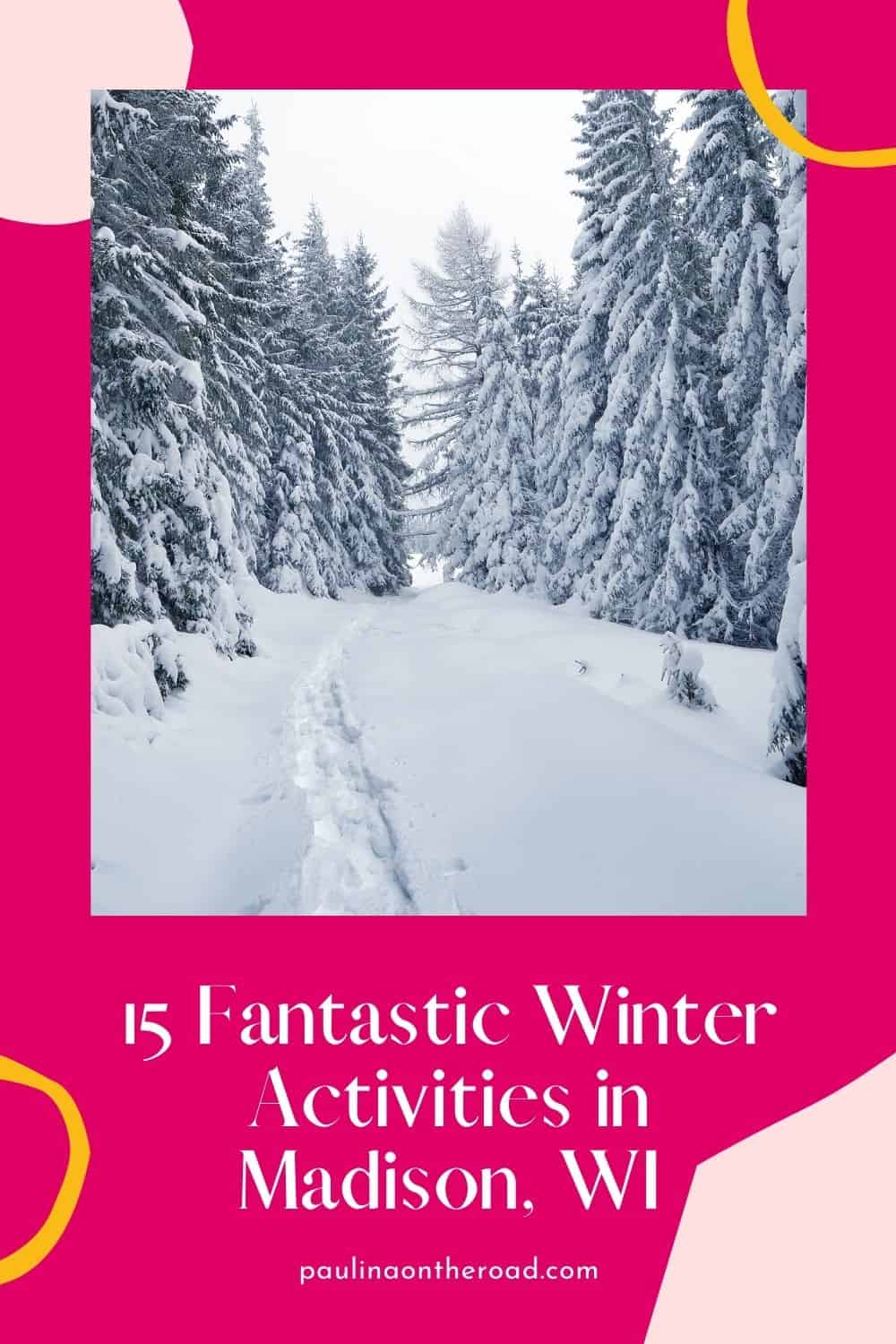 Winter in Madison WI 15 Fun Ways to Enjoy Paulina on the road