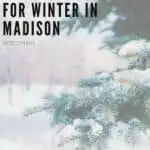 Pin reading "15 amazing things tod o for winter in Madison" with the word "Wisconsin" in much smaller text below, words over faded image of snow pine tree with more snow in background