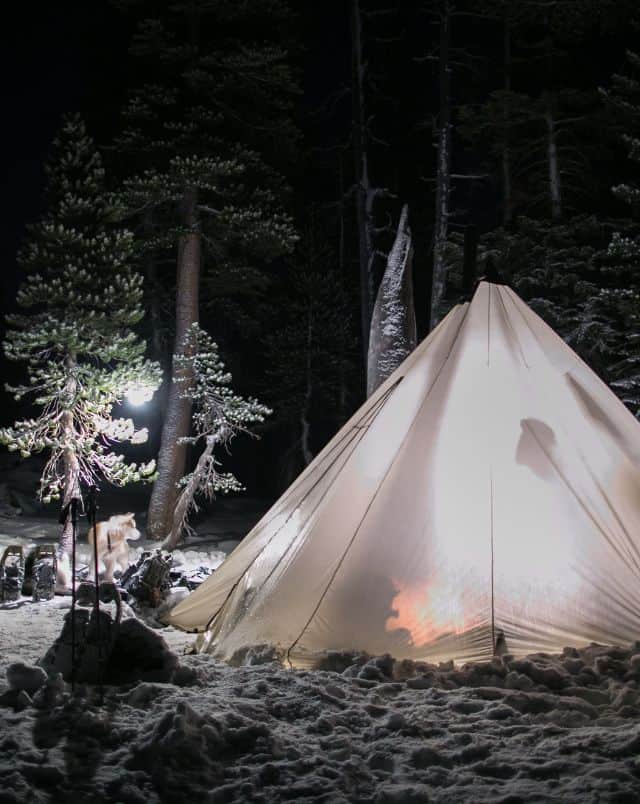 winter camping in Wisconsin state parks, white tent in the snow lit up from inside and surrounded by fir trees