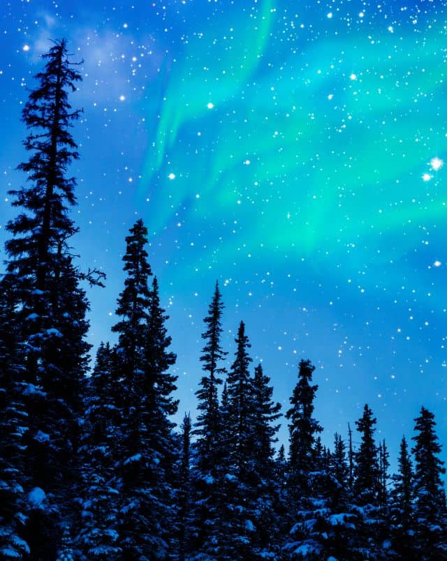what to do in door county in december, green northern lights in clear blue sky full of stars over pine trees dusted in snow