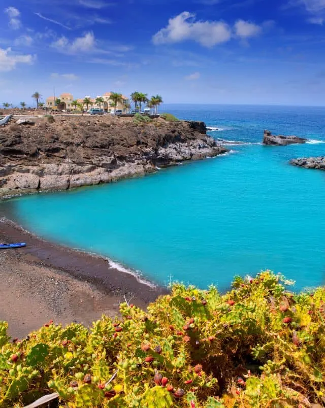 Resorts in South Tenerife, View of sandy beach next to vibrant sky blue water with rocky coastline to one side upon which sits a complex of buildings with palm trees outside all under a deep blue sky with white wispy clouds