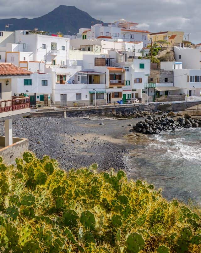 Top things to see in Tenerife south, View of rocky beach with condensed collection of white apartment buildings and balconies with dark ominous mountains behind and bright green prickly cactuses in the foreground