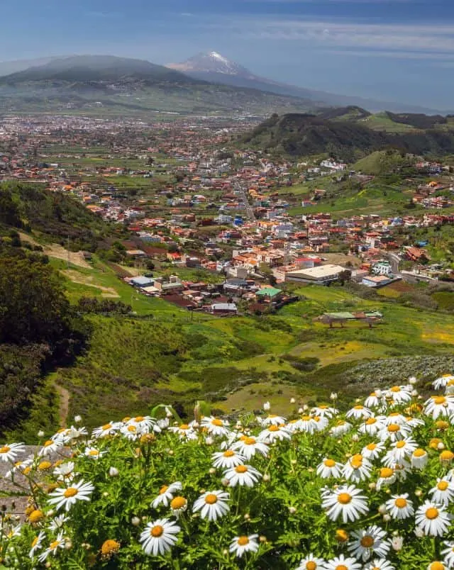 view from a hilltop of valley with areas of houses and grassy fields surrounded by tall green hills with mountains in the distance