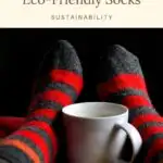 Pin with image of person's feet holding a mug while wearing red and grey striped socks, text on pin reads '15 best brands for eco-friendly socks'