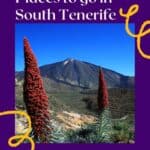 Pin with image of thin red plants with mountain under blue sky in background, text on top of pin reads '15 amazing places to go in South Tenerife'