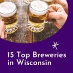pin for pinterest with the best beer in wisconsin