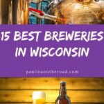 pin for pinterest with different beers