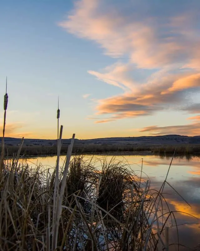 where to go for a Madison trek, view over lake in marshlands under a cloudy sunset