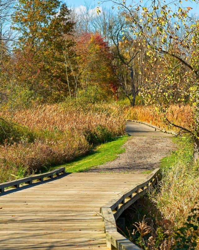 best places to hike in Madison, hiking path that is partially gravel and partially wooden boardwalks surrounded by plants and trees on a sunny day