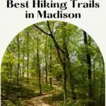 Pin with image of winding hiking path through wooded area, text above image reads 'Wisconsin: Guide to the Best Hiking Trails in Madison'