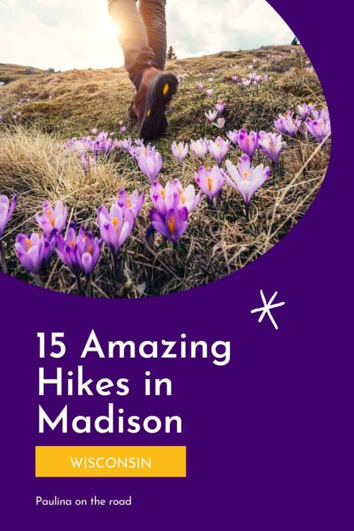 Hiking in Madison, WI Top 15 Madison Trails Paulina on the road