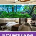 Pin with three images, top image is of hotel bed with food tray, middle image is of forest covered in moss with river in background, bottom image is of hotel room with bed and chair, text below image reads "15 Top Hotels in Eau Claire, Wisconsin"