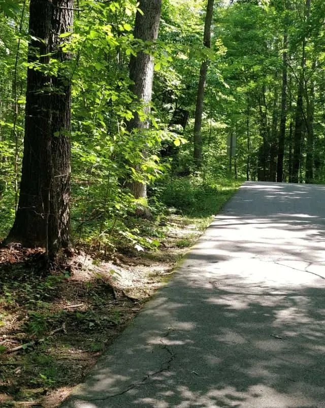 best hiking trails in Madison, WI, paved path through wooded area