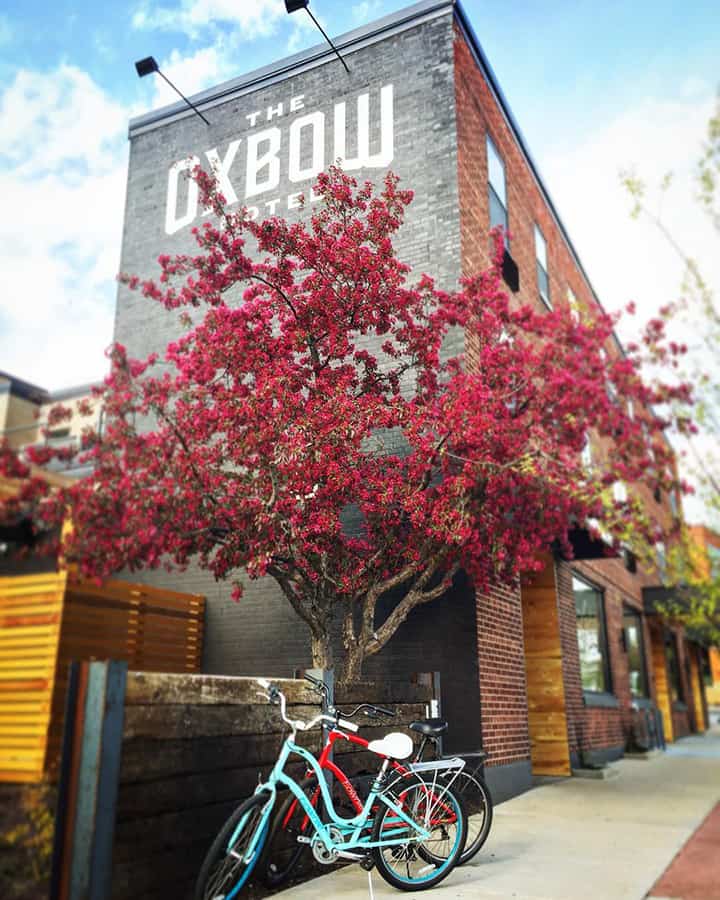 Streetview looking up at a tall brick building with "The Oxbow Hotel" painted on the side with a large tree blossoming with vibrant red and pink flowers in front next to which are standing two small bicycles leaning on their kickstands