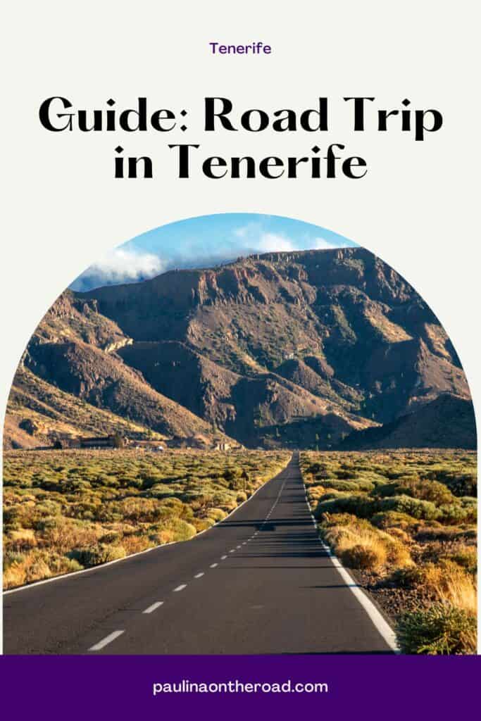 a road in tenerife going to mount teide