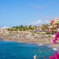 Stay at the best hotels in Tenerife on the beach, view of sandy beach with people sunbathing and playing next to the blue waves of the sea with bright flowers in the foreground and palm trees and hotel buildings behind