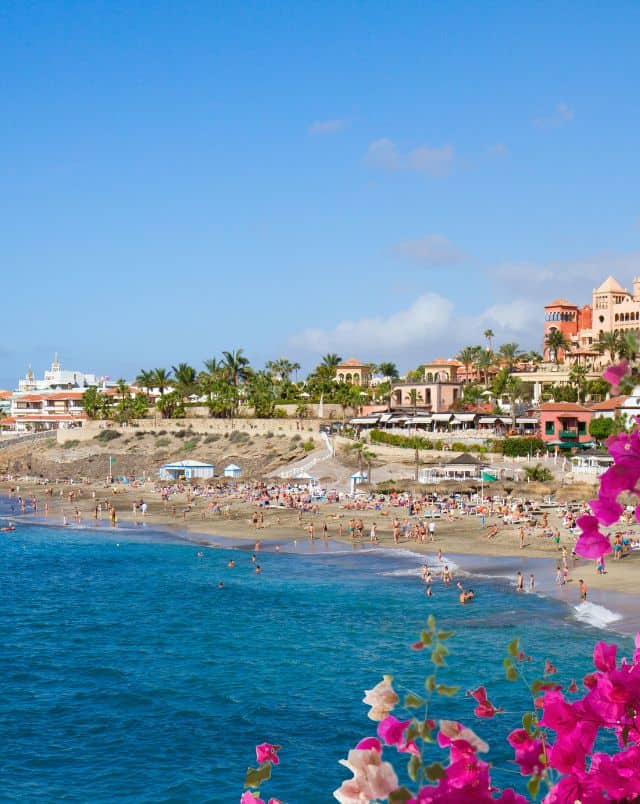 where to stay in tenerife in december, view of sandy beach with people sunbathing and playing next to the blue waves of the sea with bright flowers in the foreground and palm trees and hotel buildings behind