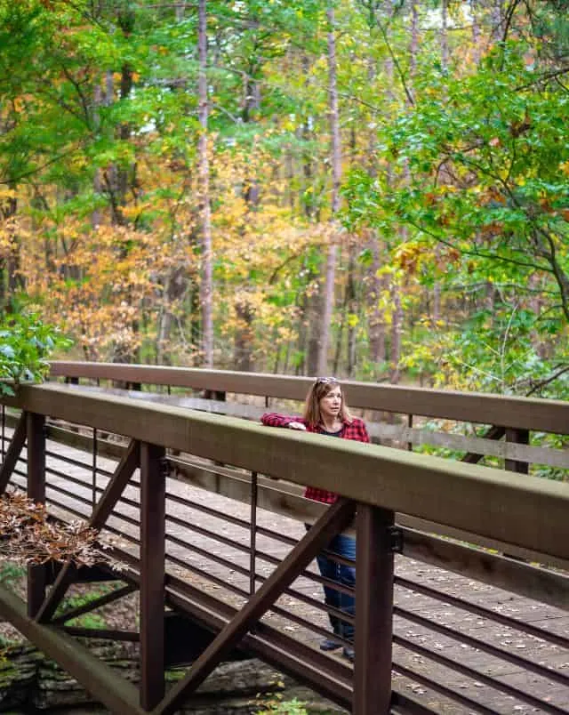 person standing on outdoor wooden walkway surrounded by trees with green and yellow leaves