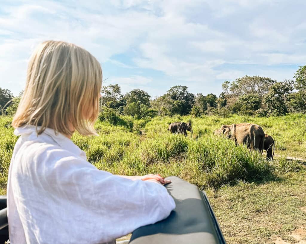 sri lanka itinerary travel blogger watching elephants in Sri lanka