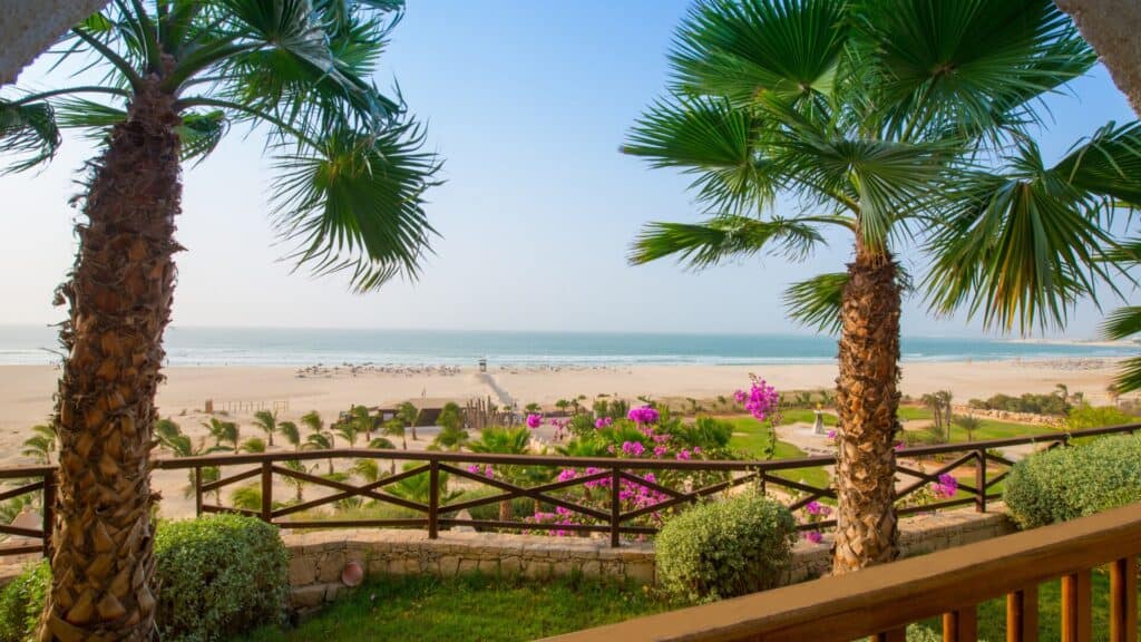 amazing Boa Vista hotels, View looking out from balcony between two palm trees of wide sandy beach and green floral area with the sea beyond under a wide clear sky