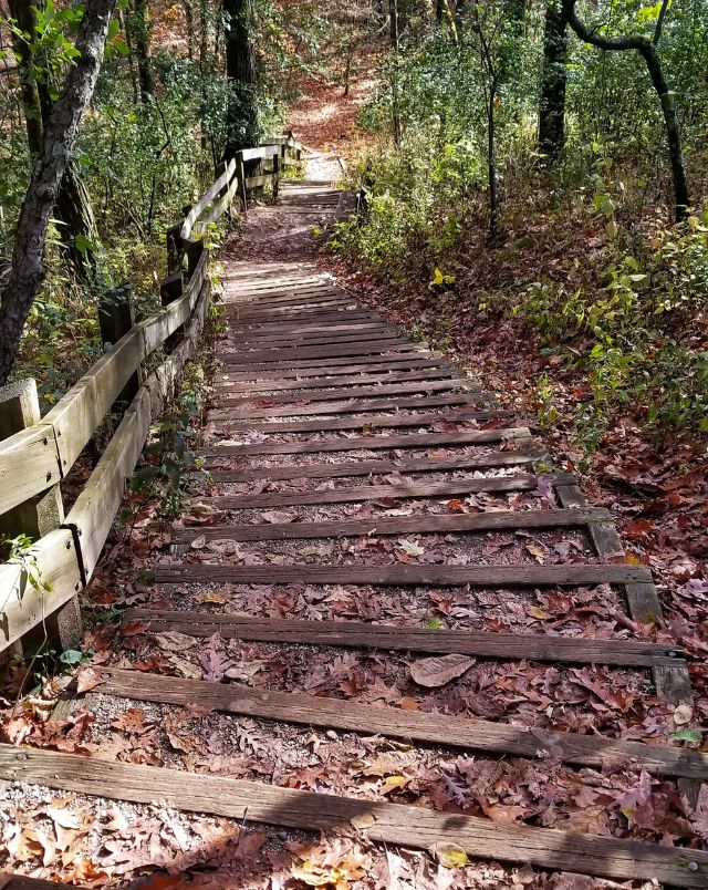 Best hiking near Milwaukee Wisconsin, View looking down an outdoor flight of wooden steps set into the side of a hill all covered in fallen autumn leaves with green trees and shrubs either side