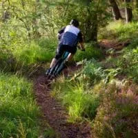 Person riding a mountain bike along a dirt trail through some lush green woodland with trees and grass all around