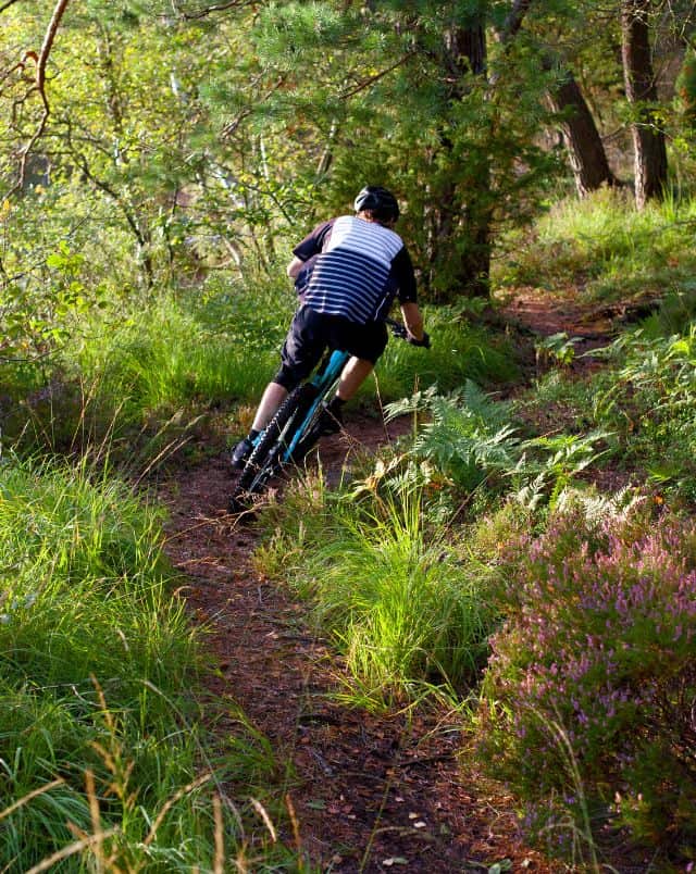 Person riding a mountain bike along a dirt trail through some lush green woodland with trees and grass all around