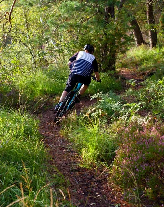 Person riding a mountain bike along a dirt trail through some lush green woodland with trees and grass all around