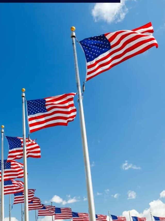 american flags for esim usa travel