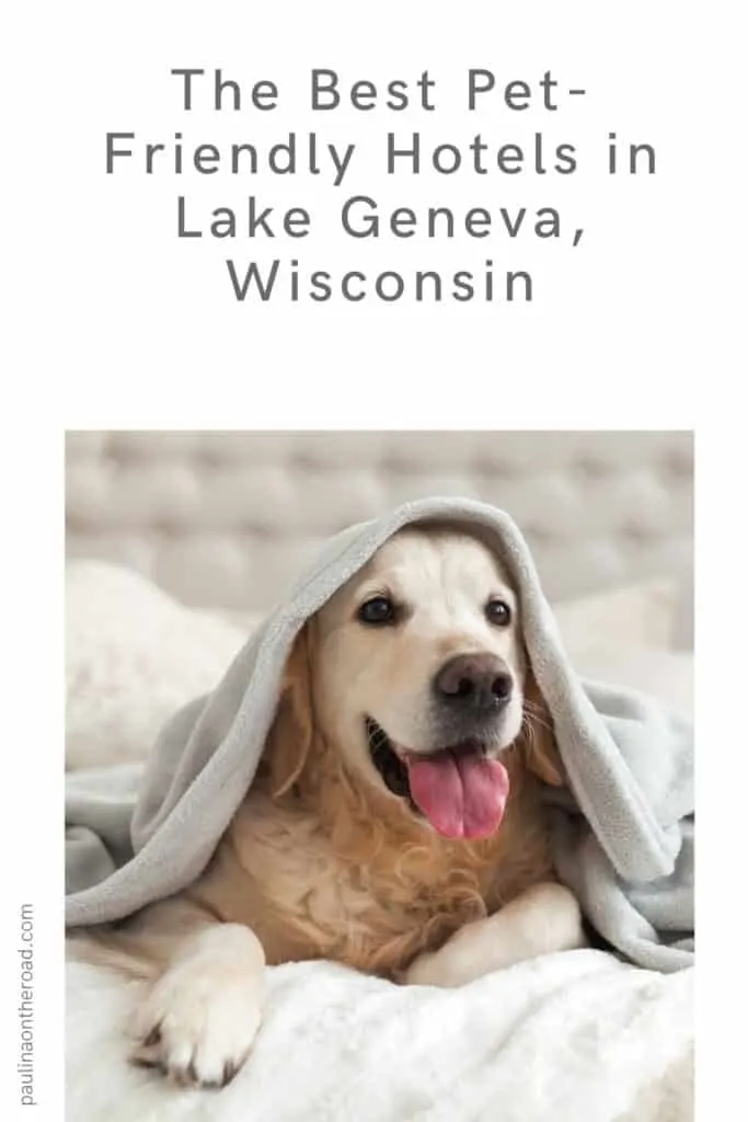 a pin with a Labrador dog on a hotel bed in Lake Geneva, Wisconsin. 