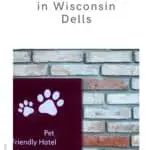a pin with a pet-friendly sign on a hotel in Wisconsin Dells.