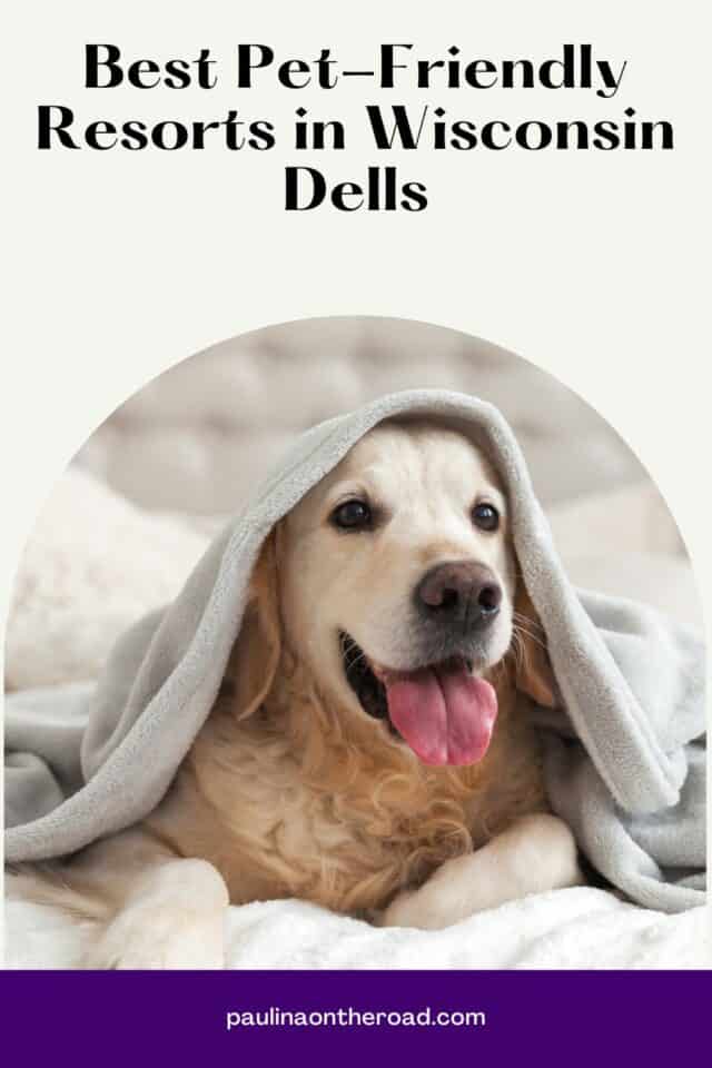 10 Great PetFriendly Resorts in Wisconsin Dells Paulina on the road