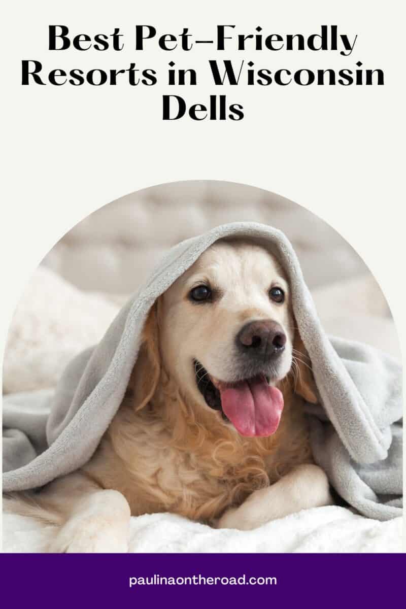 10 Great PetFriendly Resorts in Wisconsin Dells Paulina on the road