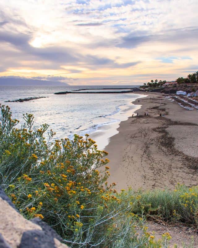 Playa del Duque beach, a place to relax and enjoy