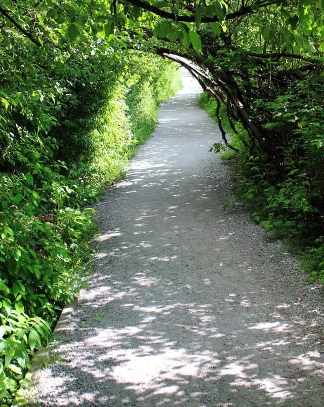 Discover some of the best Milwaukee county bike trails, long gravel bike path leading through a tunnel of green foliage and branches