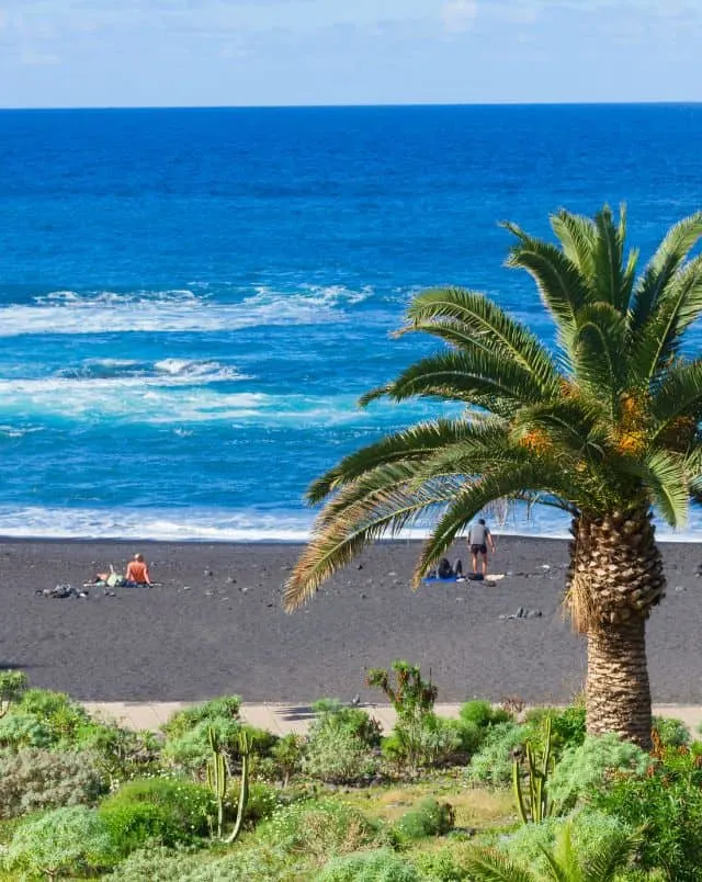 best beaches South Tenerife has to offer, View down onto a grey sandy beach with people sitting on blankets with a palm tree and green shrubs in the foreground and the slow crashing waves of the deep blue sea behind