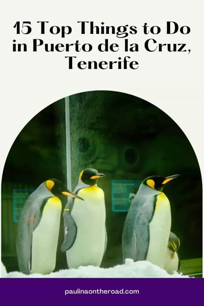 Pin with image of four penguins in a glass enclosure walking on snow, text above image reads: 15 top things to do in puerto de la cruz tenerife