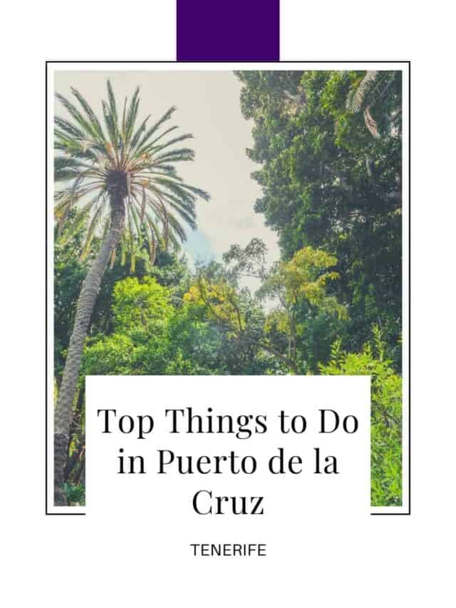 15 Fun Things to Do in Puerto de la Cruz