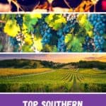Pin with three images: several glasses of wine, purple grapes on vine, and fields of grape trees at sunset, text under images reads: top southern wisconsin wineries